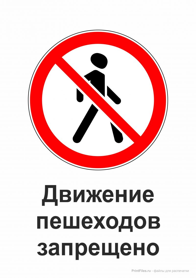 dvizhenie peshehodov po peshehodnym zonam