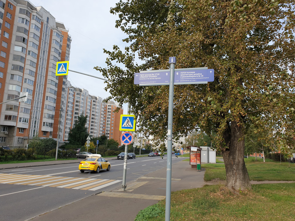 opasnosti nereguliruemyh peshehodnyh perehodov