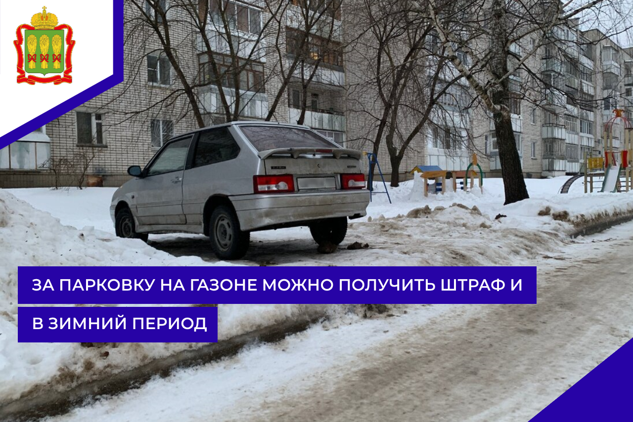 pravila parkovki na gazone shtrafy i isklyucheniya