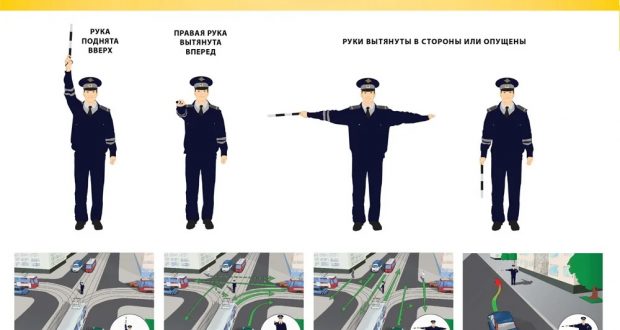 signaly regulirovschika dlya peshehodov