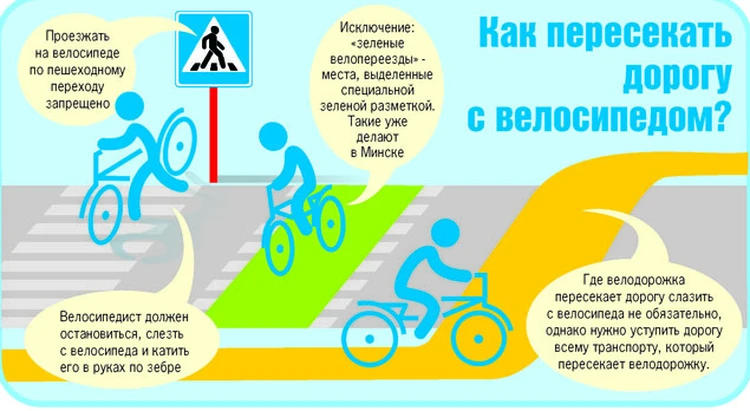 velosipedisty i peshehodnye perehody konflikty i resheniya