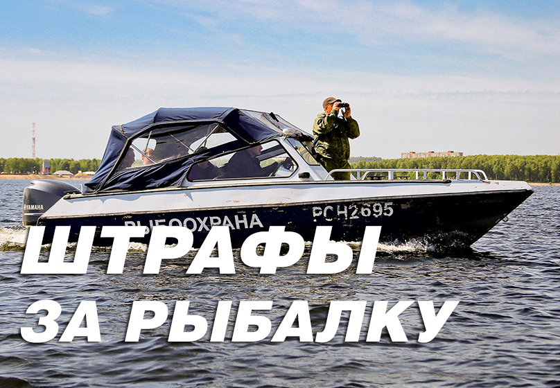 zapret na ispolzovanie gadzhetov shtrafy i isklyucheniya
